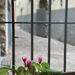 Apartmán Duomo Nest Entire Trento
