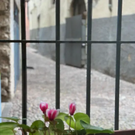 Апартаменты Duomo Nest Entire Тренто