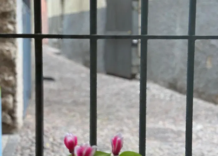 Apartmán Duomo Nest Entire Trento