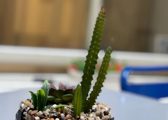 شقة Duomo Nest Entire