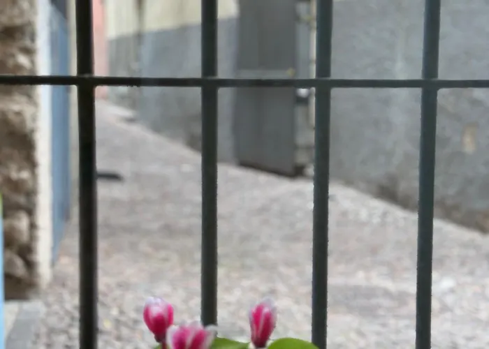 דירה Duomo Nest Entire